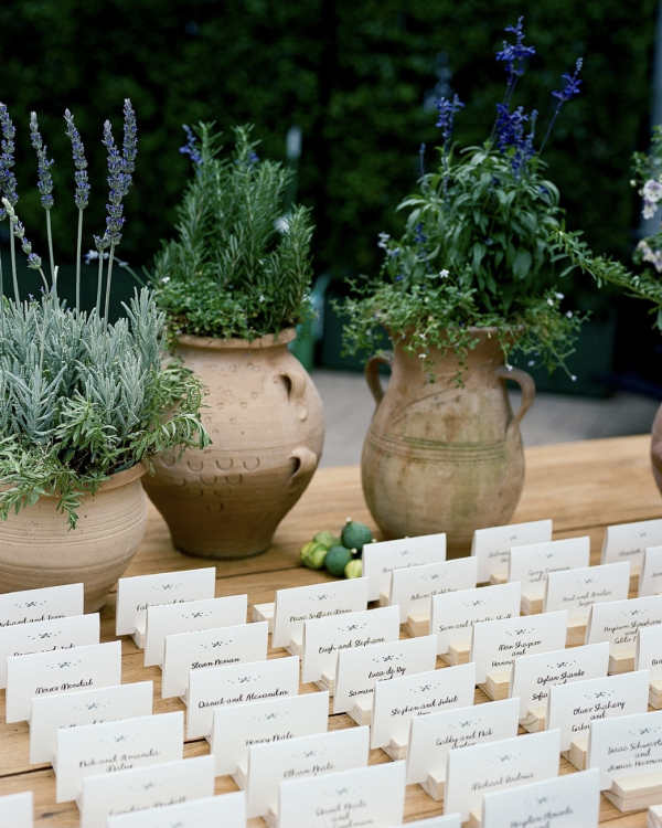 Italian Style Backyard Wedding Celebration | Jordan and Adam Marriage Ceremony