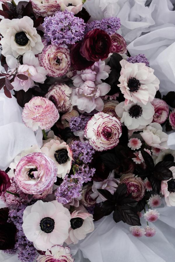 Florists Film and Foliage