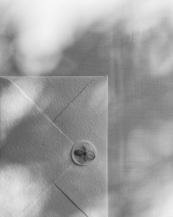 40 Wedding Invitation Ideas with Wax Seals