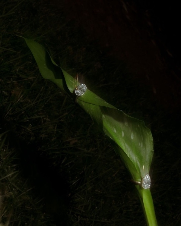 Unique Engagement Ring Styles and Cuts