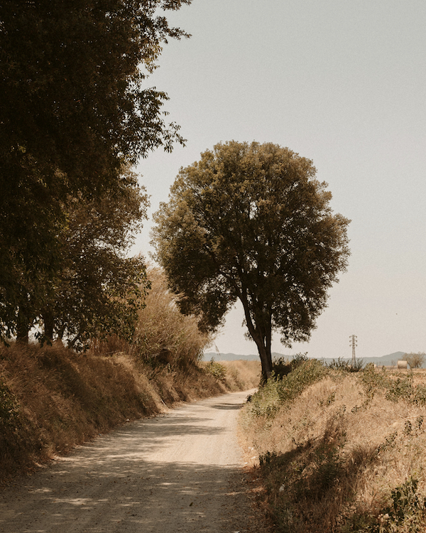 An Elegant Barcelona Wedding with Minimalist Charm