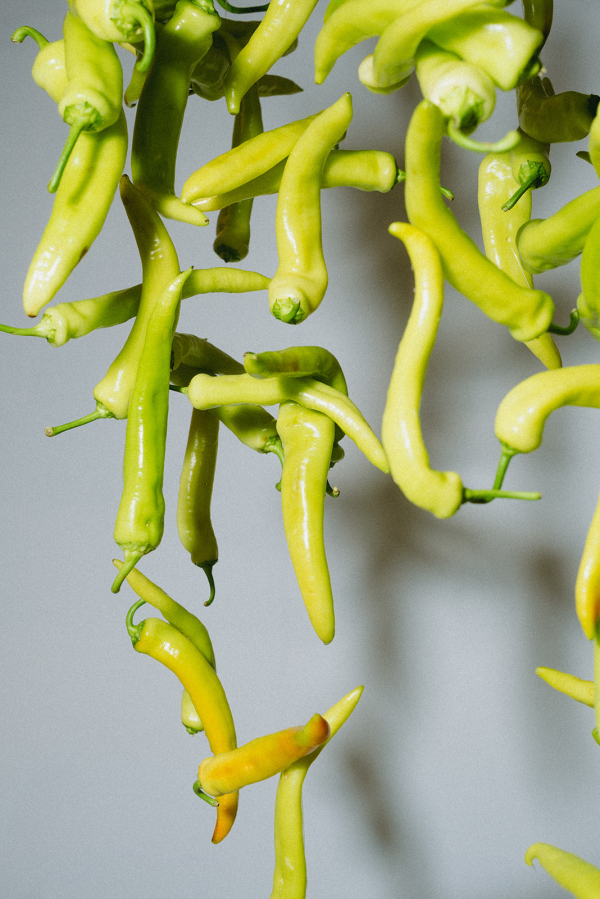 Florists Bloomhausadl