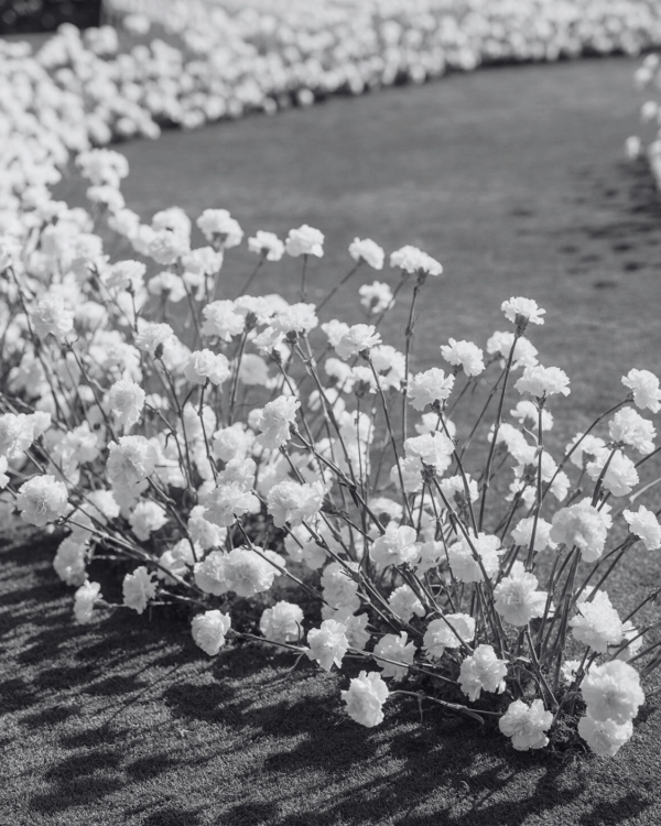 30 Fresh Ideas for Unique Aisle and Ceremony Seating