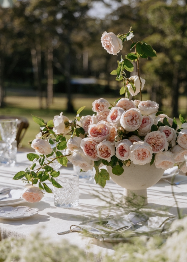 Content Creators Madeline Anne