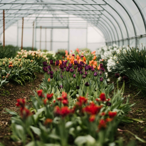 Venues Heckfield Place