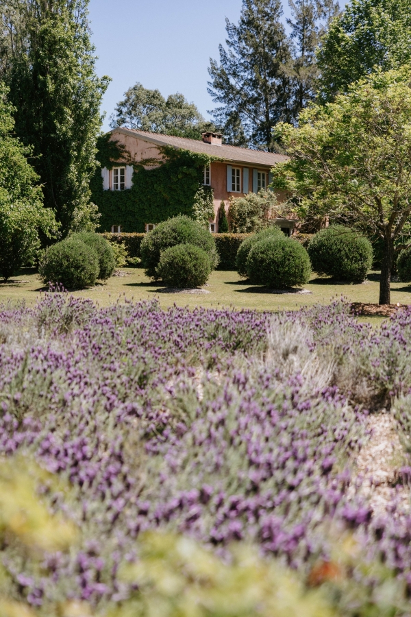 Content Creators Madeline Anne