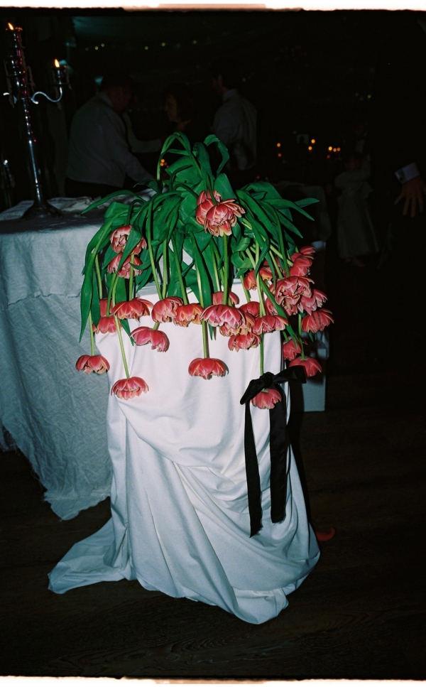 Florists Botanicals By B