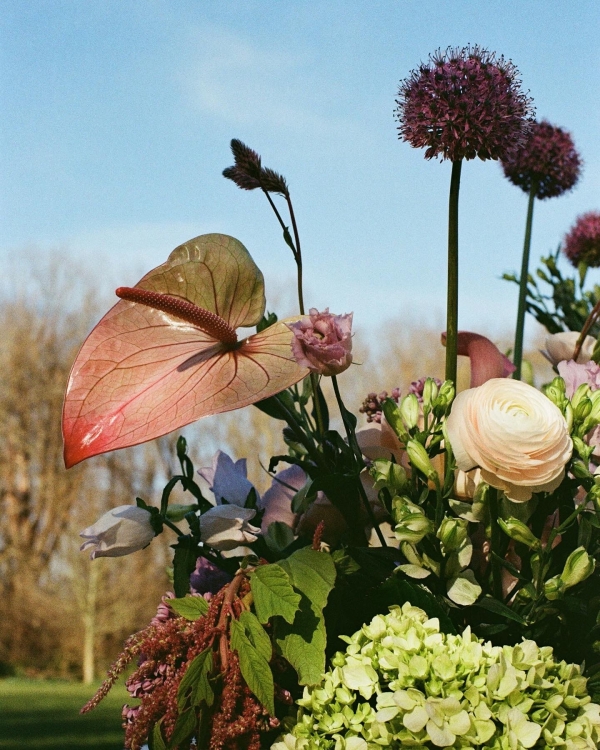 Planners 11.11 Weddings