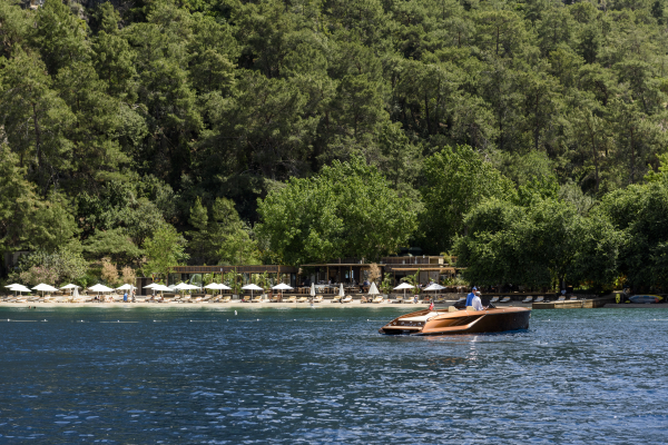 Venues Yazz Collective