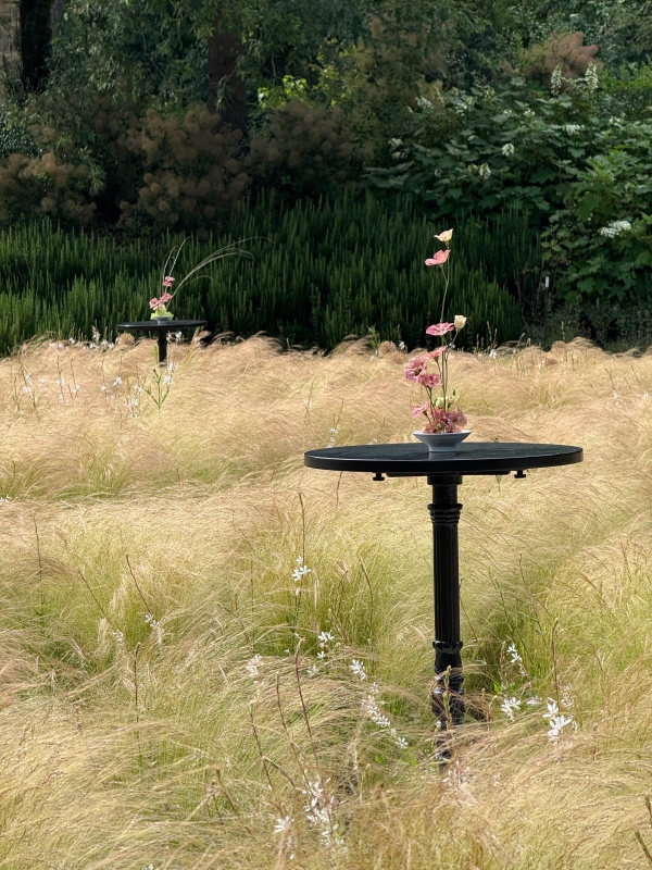 Content Creators Madeline Anne