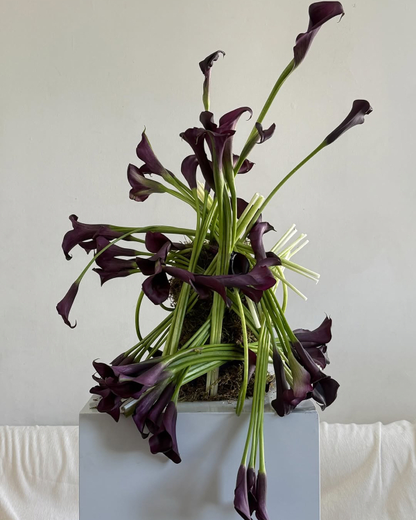 14 Major Floral Trends for 2026