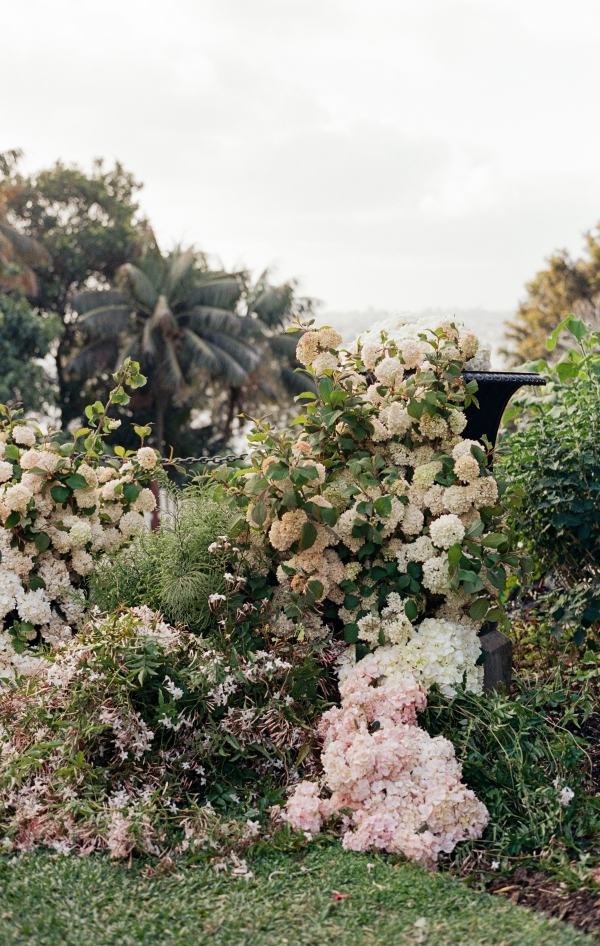 Photographers Oliver Hartley