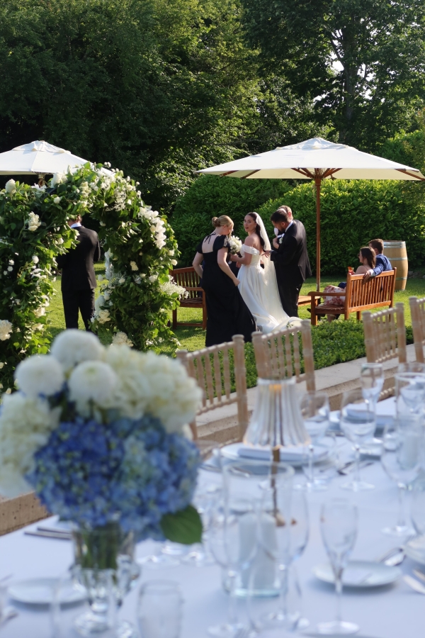 Content Creators Vow Visuals