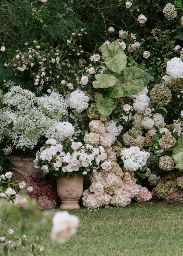 Content Creators Madeline Anne