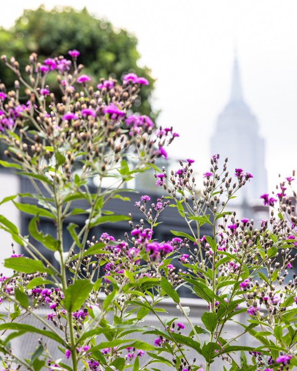 The Ultimate Guide to New York City: Our Favorite Hidden Gems & Chic Spots