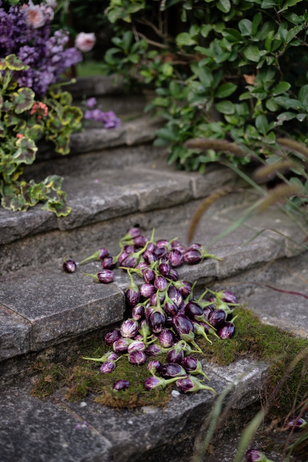 Florists Botanicals By B