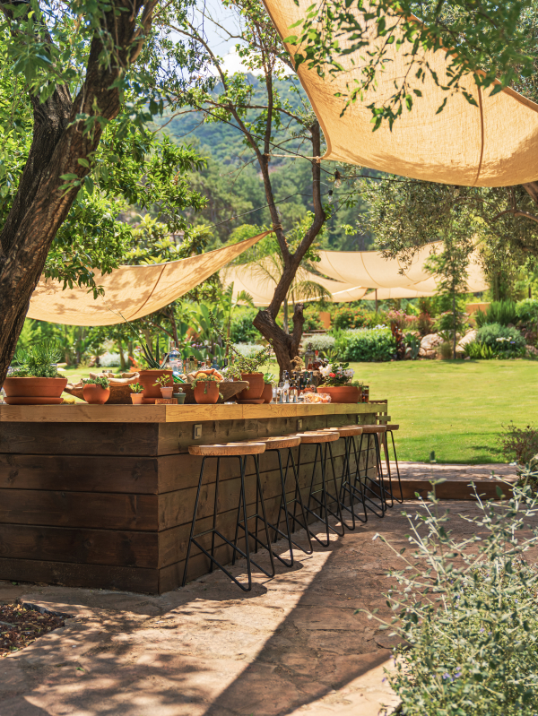 Venues Yazz Collective