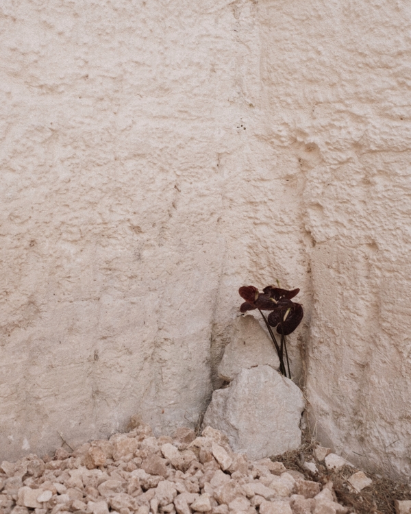 An Intimate Menorca Quarry Wedding with Avant-Garde Design, Gospel Harmonies & Vintage Bridal Looks