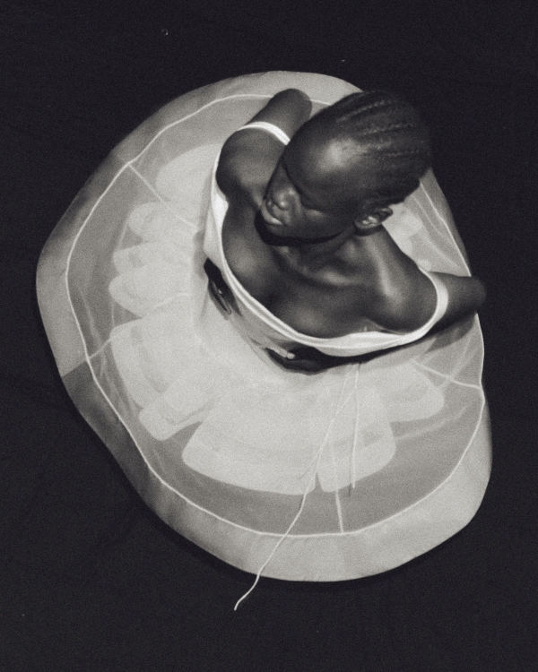 WED Launches Bridal 2026 Collection