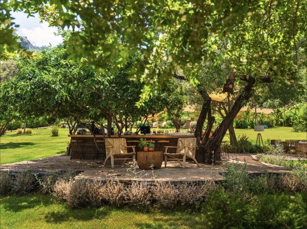 Venues Yazz Collective