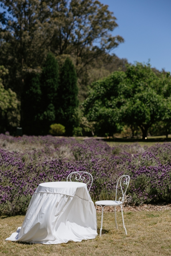 Content Creators Madeline Anne