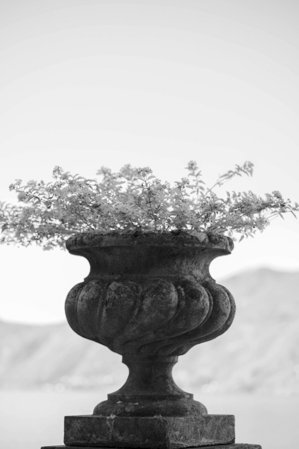 Photographers Vanessa Mathieu Pineda