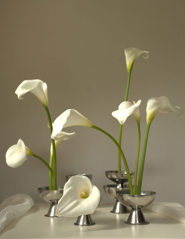 Florists Angie Flowers Studio