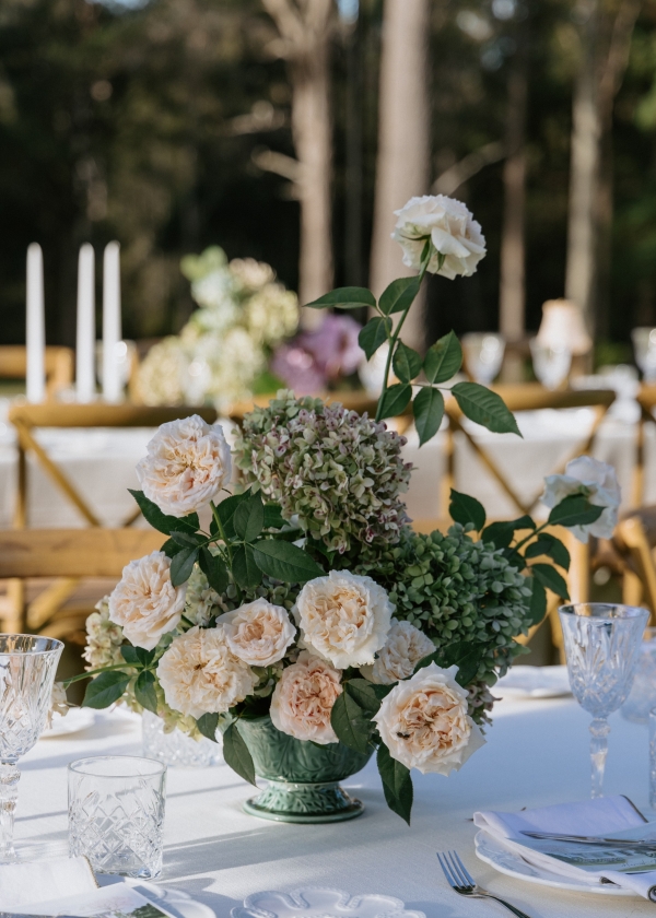 Content Creators Madeline Anne