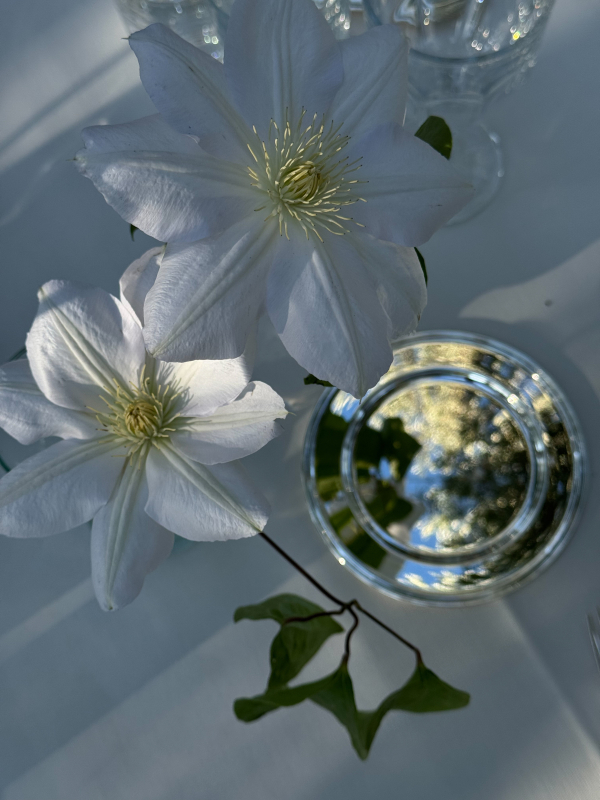 Florists Marta Sandri Studio