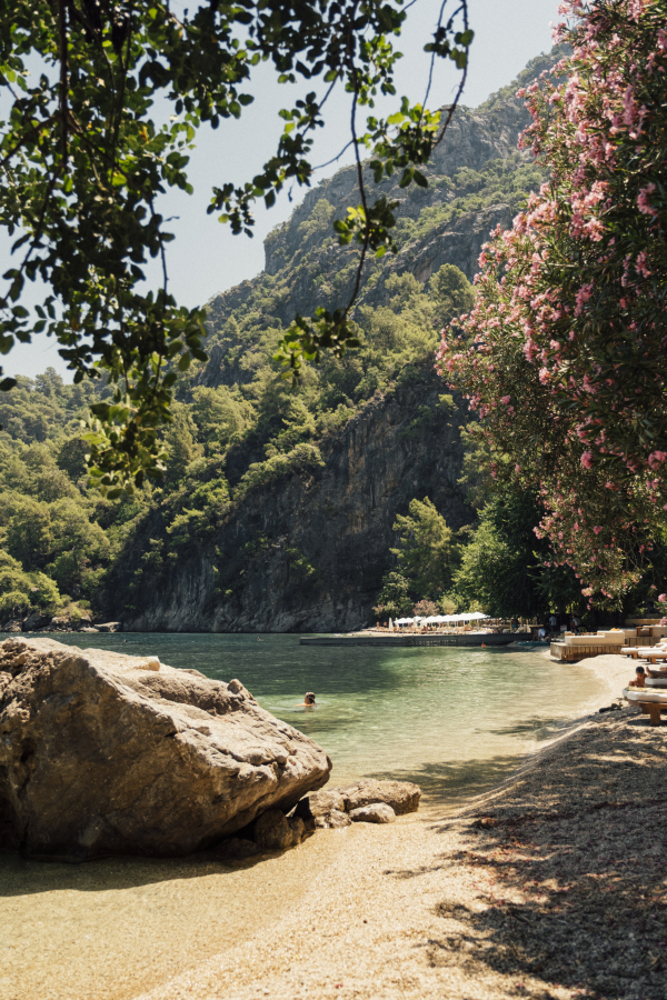 Venues Yazz Collective