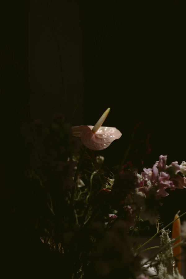 Photographers Melissa Sung