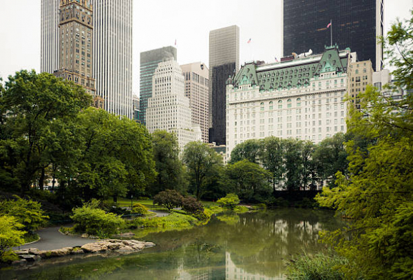 Venues The Plaza Hotel