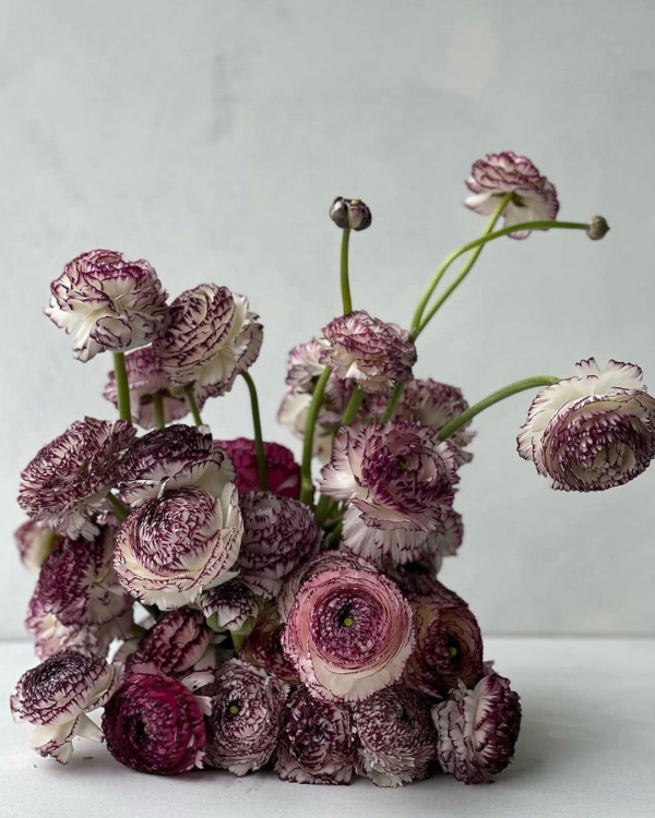 Interview with Mrs Gibbons Flowers