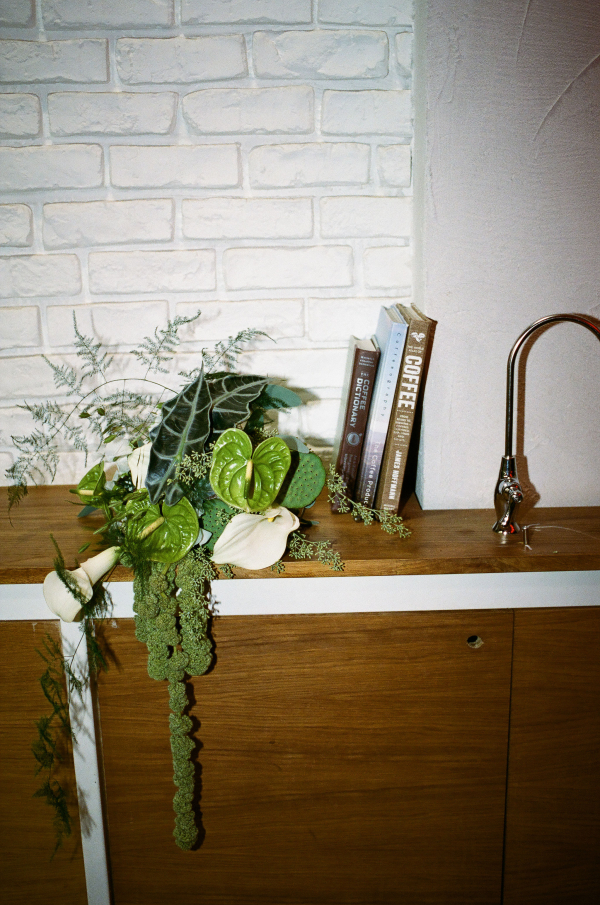 Photographers Symphony of Light