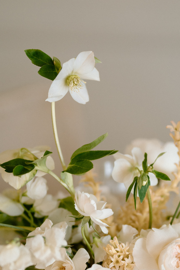 Photographers Catherine Goce