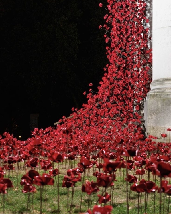 30 Ceremony Backdrop Ideas | Creative Ideas For Your Ceremony Background