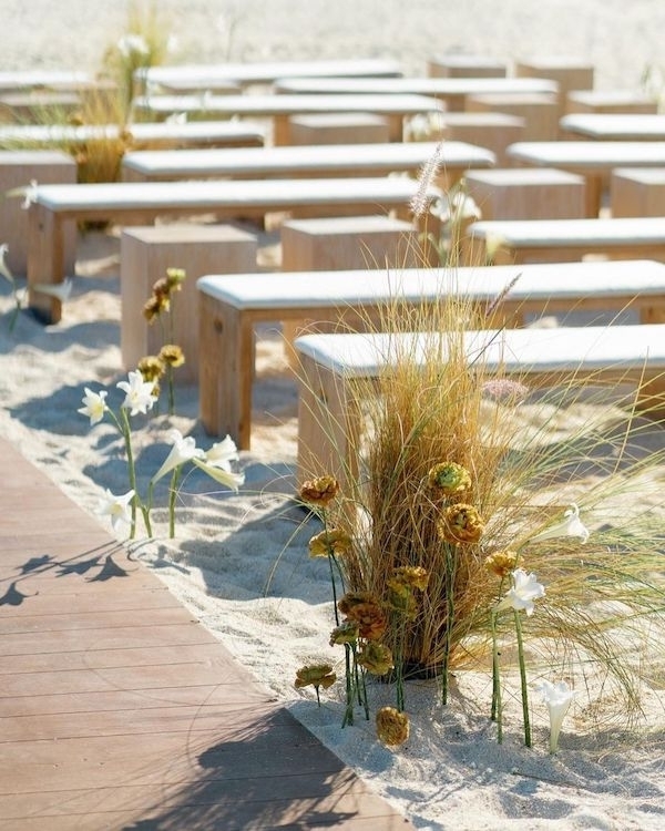 Golden Hour Photos: What They Are and Why You Need Them?