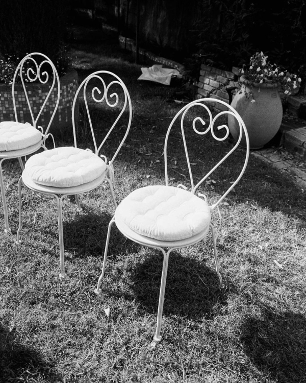 20-Step Guide to Planning a Wedding