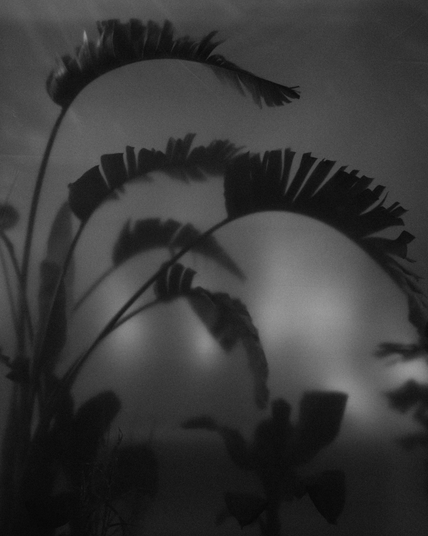 A Bold Botanical-Inspired Wedding Amongst Brutalist Architecture in Portugal