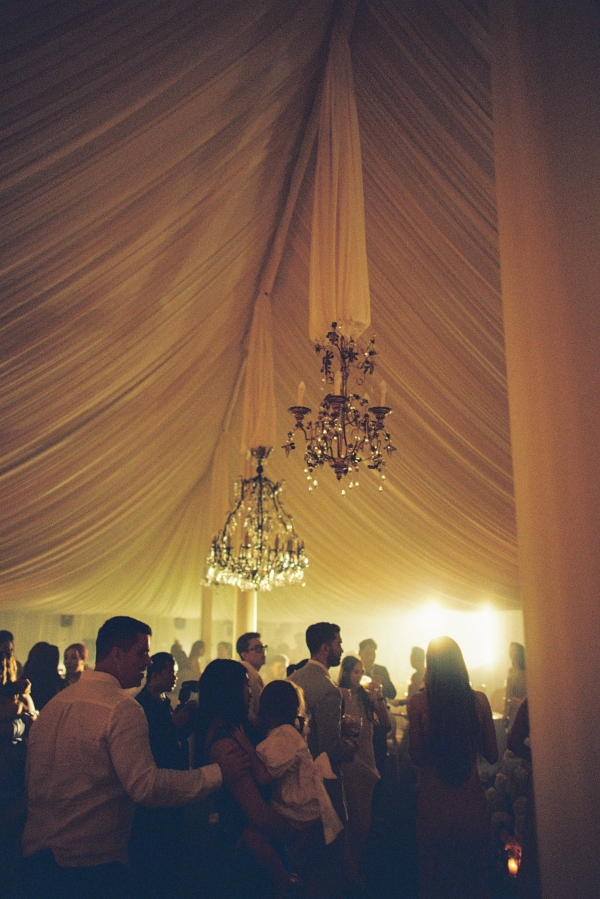 Stylists Mimosa Posy