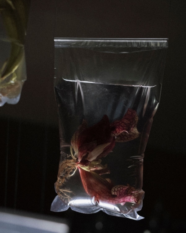 The Chicest Real Weddings of 2025 So Far