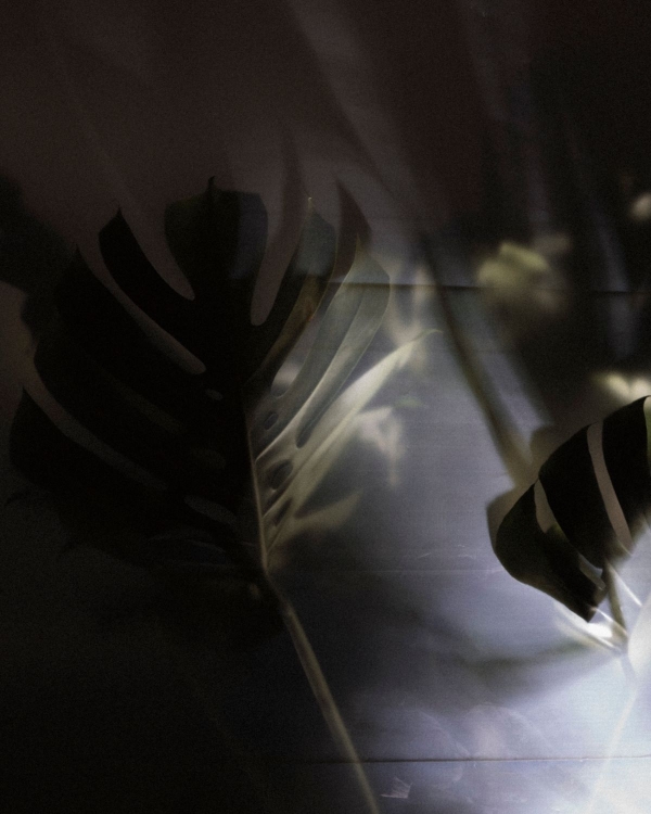 A Bold Botanical-Inspired Wedding Amongst Brutalist Architecture in Portugal