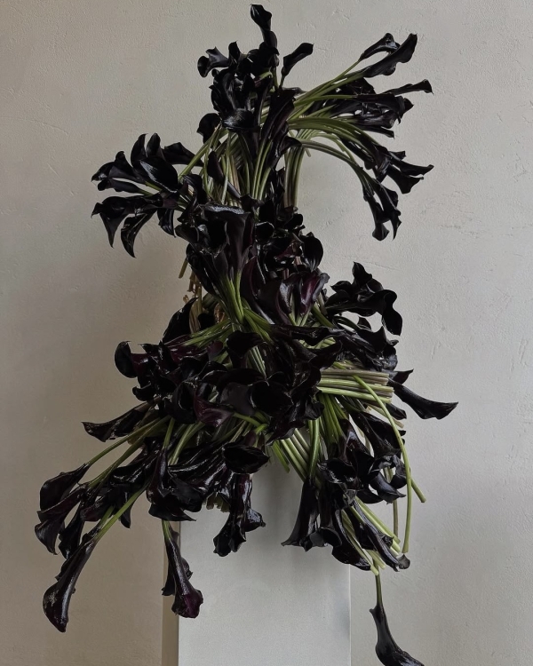 7 Pinterest Alternatives for Wedding Inspiration Every Couple Should Know