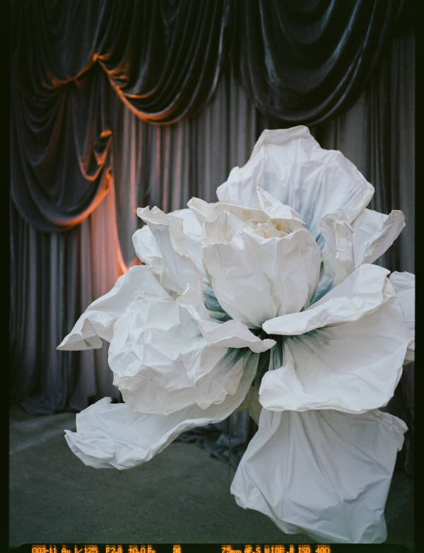 Photographers Tom Coburn