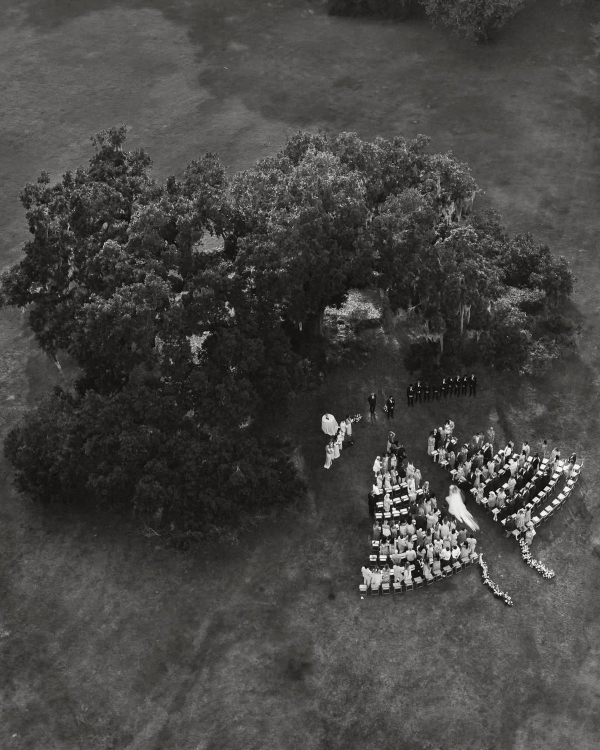 Why Nature Is the Best Backdrop for Your Wedding Photos