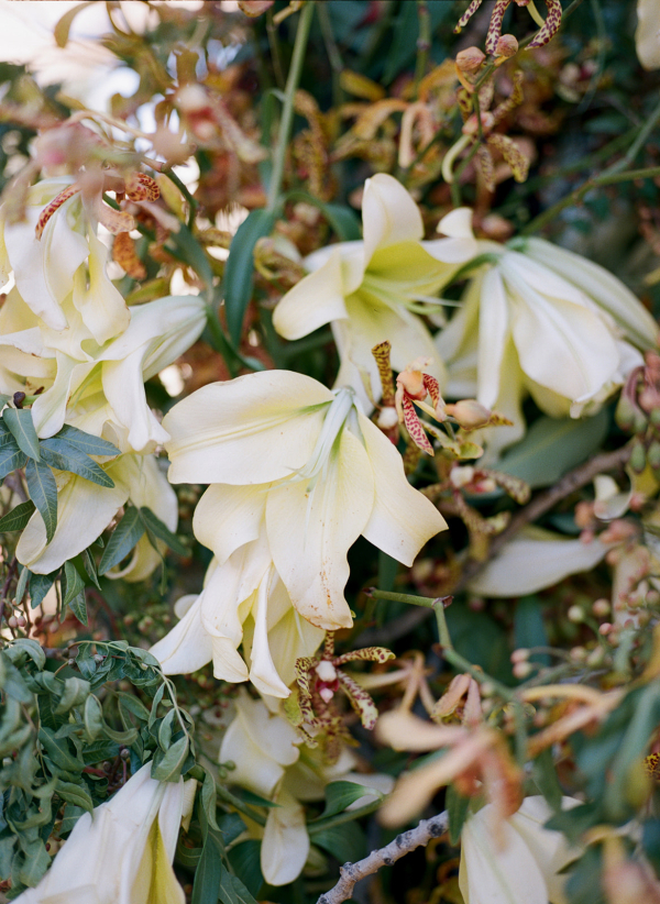 Photographers Sophie Berard