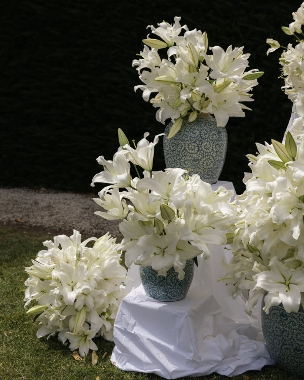 Florists The Petal Project