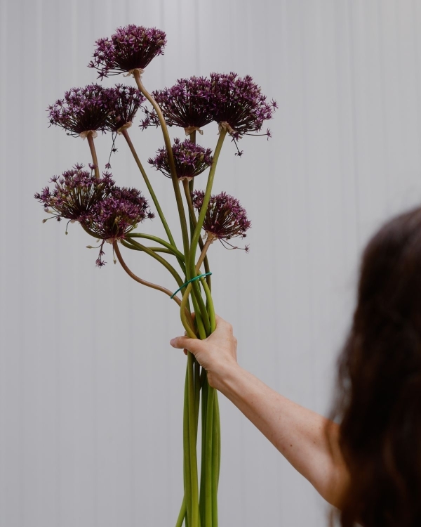 In Conversation: Carolina Spencer