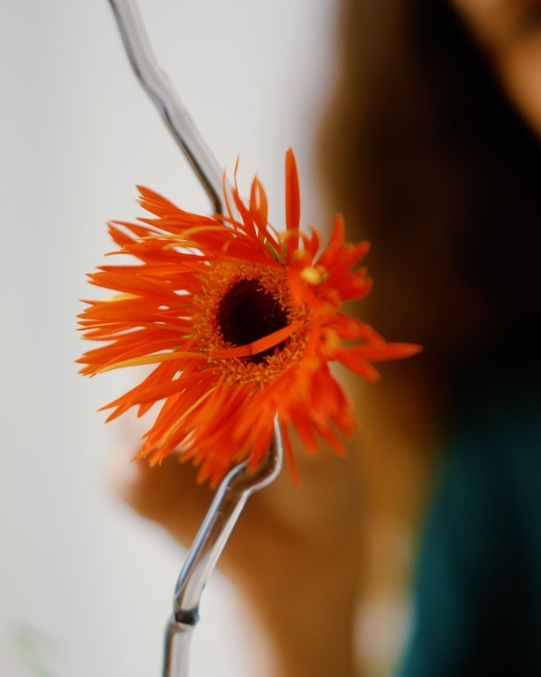 In Conversation: Carolina Spencer