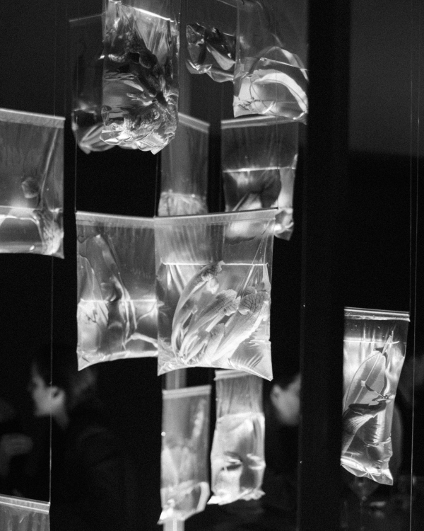 A Bold Botanical-Inspired Wedding Amongst Brutalist Architecture in Portugal